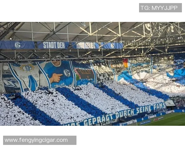 奥格斯堡主场迎战沙尔克04双方争夺宝贵联赛积分