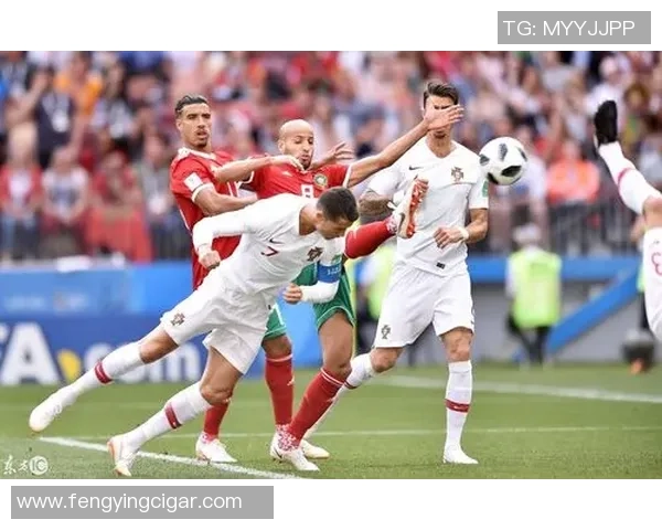 德国与葡萄牙2014乒乓球对决回顾与精彩瞬间分析