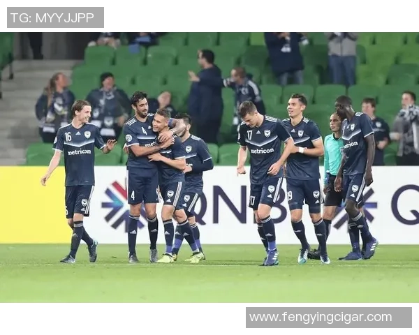 阿德莱德主场迎战墨尔本城争夺澳超联赛关键三分